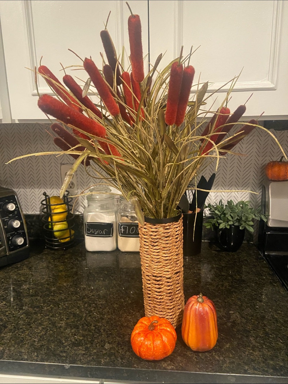 Autumn Bundle - Picture 4 of 4